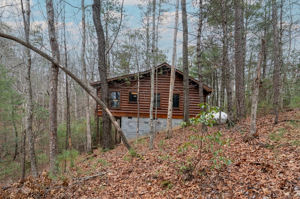 1165 Little Bushy Head Road Blue Ridge, GA 30513 - Photo 24 of 29