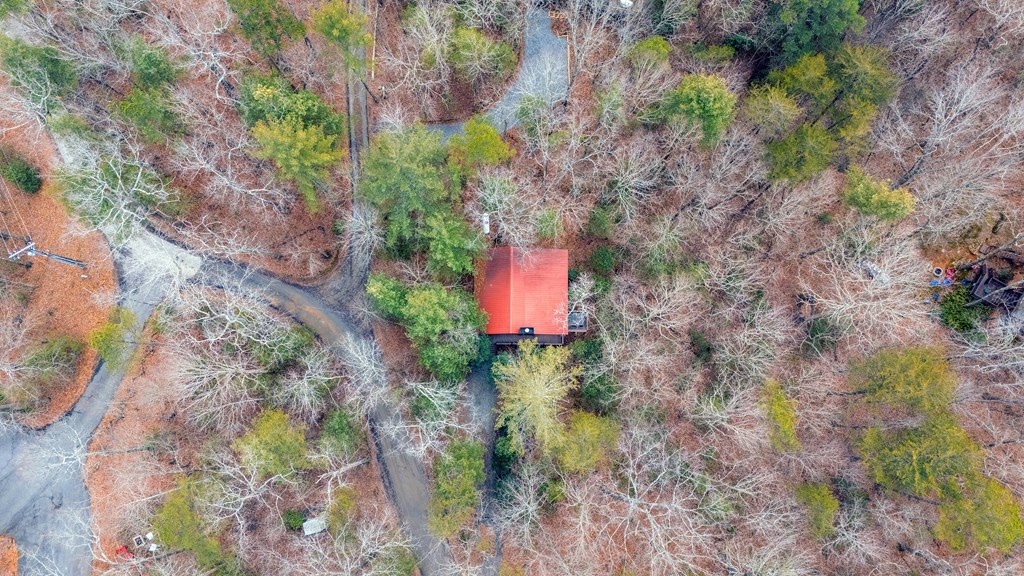 1165 Little Bushy Head Road Blue Ridge, GA 30513 - Photo 27 of 29