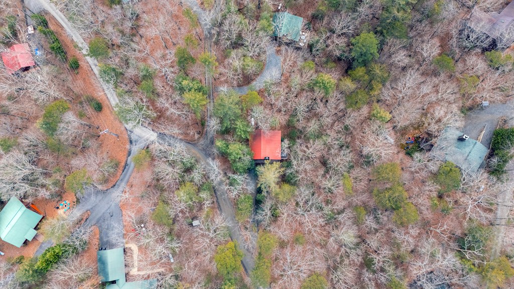 1165 Little Bushy Head Road Blue Ridge, GA 30513 - Photo 28 of 29