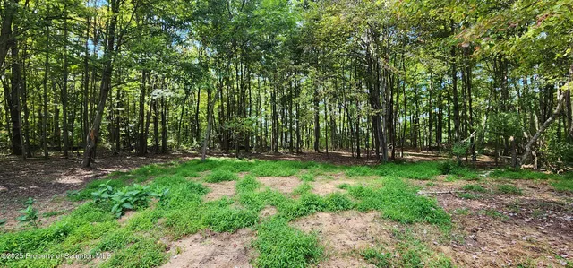 $540,000 | 42 Long Ln Falls, Falls, PA 18615