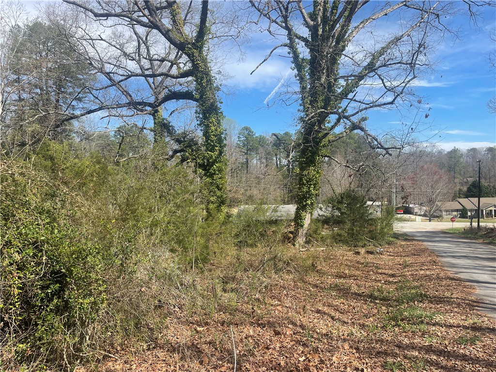 0 Charlie Mitchell Road Walhalla, SC 29691 - Photo 4 of 8
