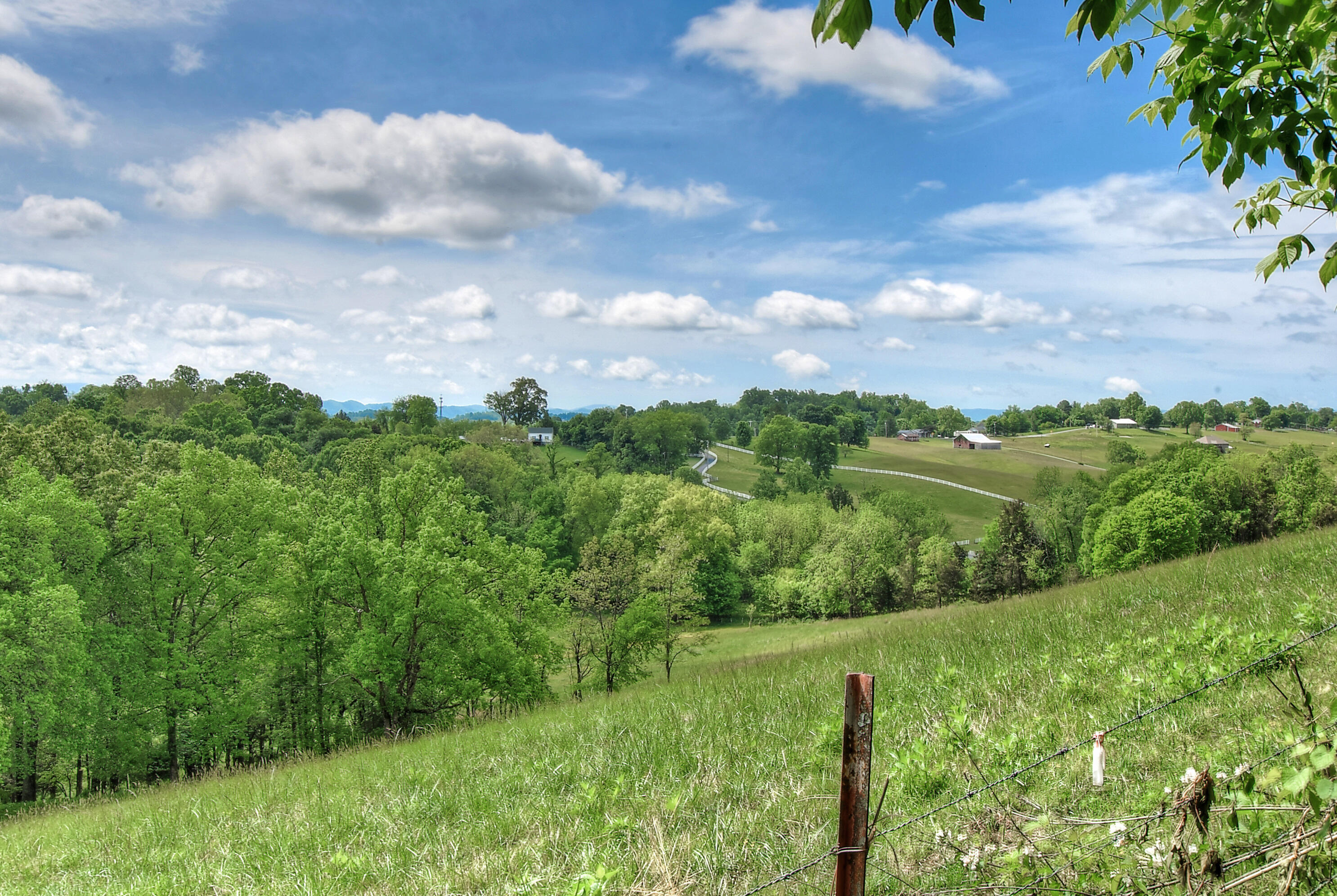 1130 Old Stage Road Gray, TN 37615 - Photo 54 of 80 DSC_0574_5_6_7_8_9