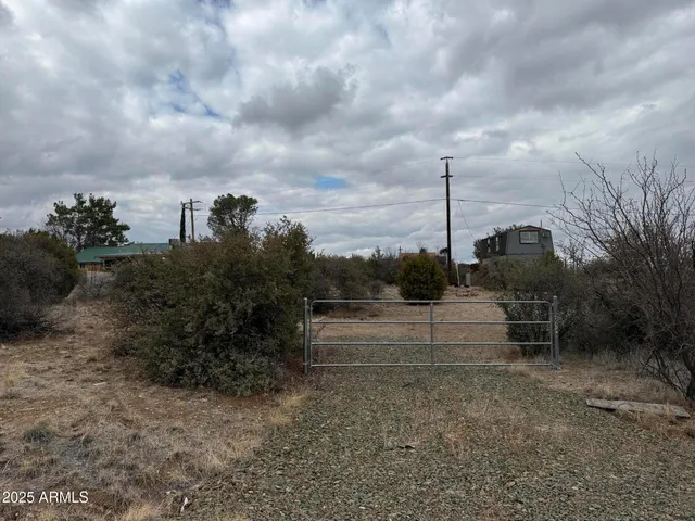a view of a dry yard with trees