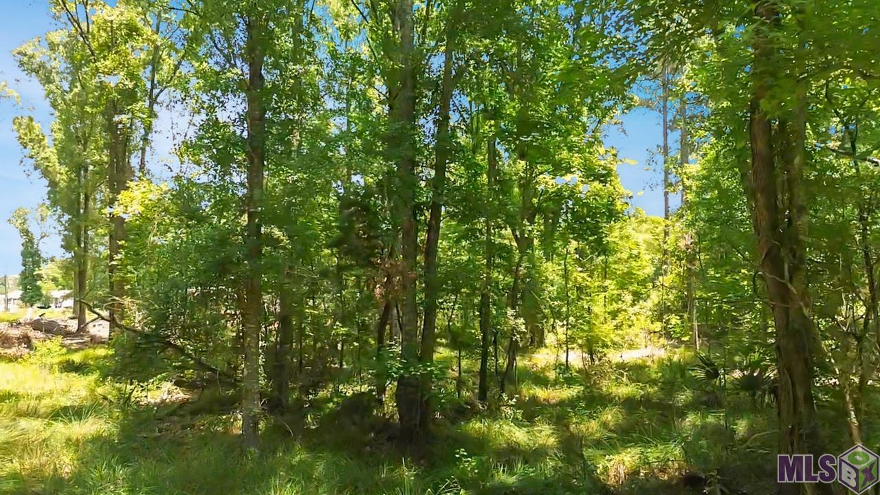 Tract C Picou Road Maurepas, LA 70449 - Photo 6 of 10