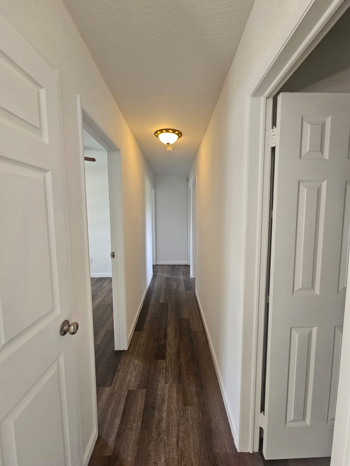 1401 Trinity Street Lockhart, TX 78644 - Photo 19 of 31 Hallway featuring wood-finish flooring, white paneled doors, and a decorative flush mount light fixture