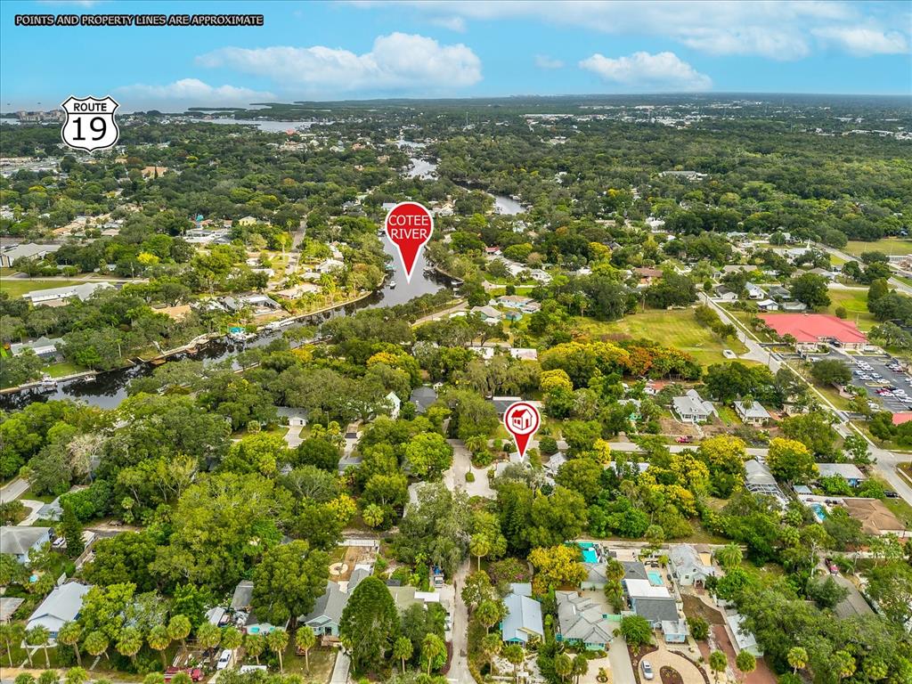 5638 Virginia Avenue New Port Richey, FL 34652 - Photo 31 of 39