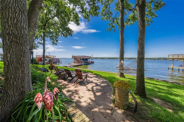 a view of a garden with a tree