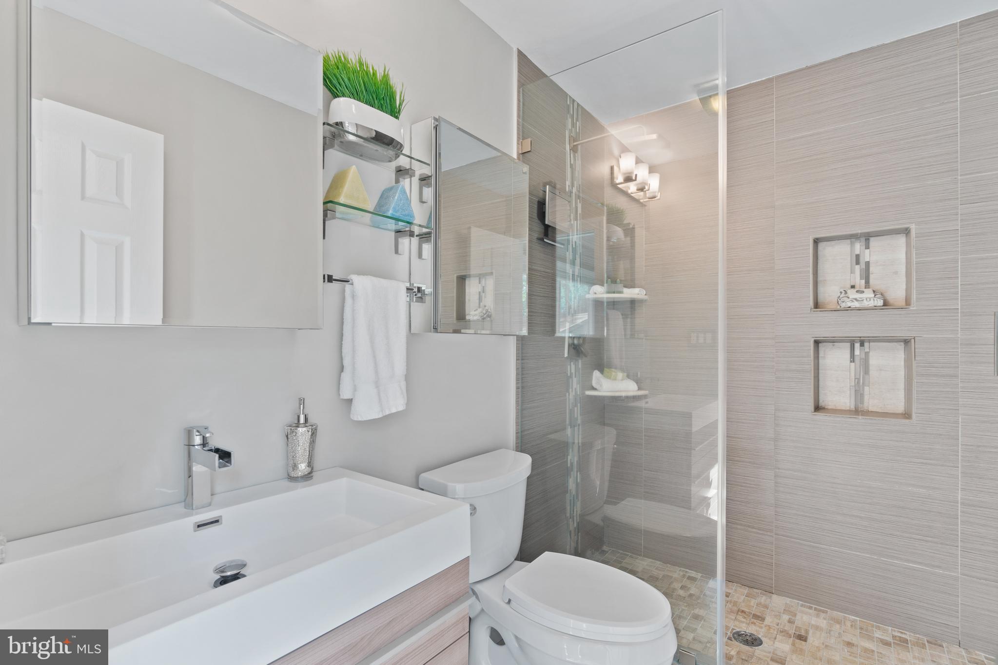 11246 Handlebar Road Reston, VA 20191 - Photo 13 of 34 Spa Primary Bathroom