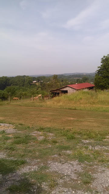 208 Red Pond Road Sweetwater, TN 37874 - Photo 31 of 40 31-IMG_20150625_094900