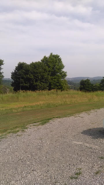 208 Red Pond Road Sweetwater, TN 37874 - Photo 32 of 40 32-IMG_20150625_094916