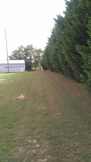 208 Red Pond Road Sweetwater, TN 37874 - Photo 8 of 40 08-IMG_20150625_095512