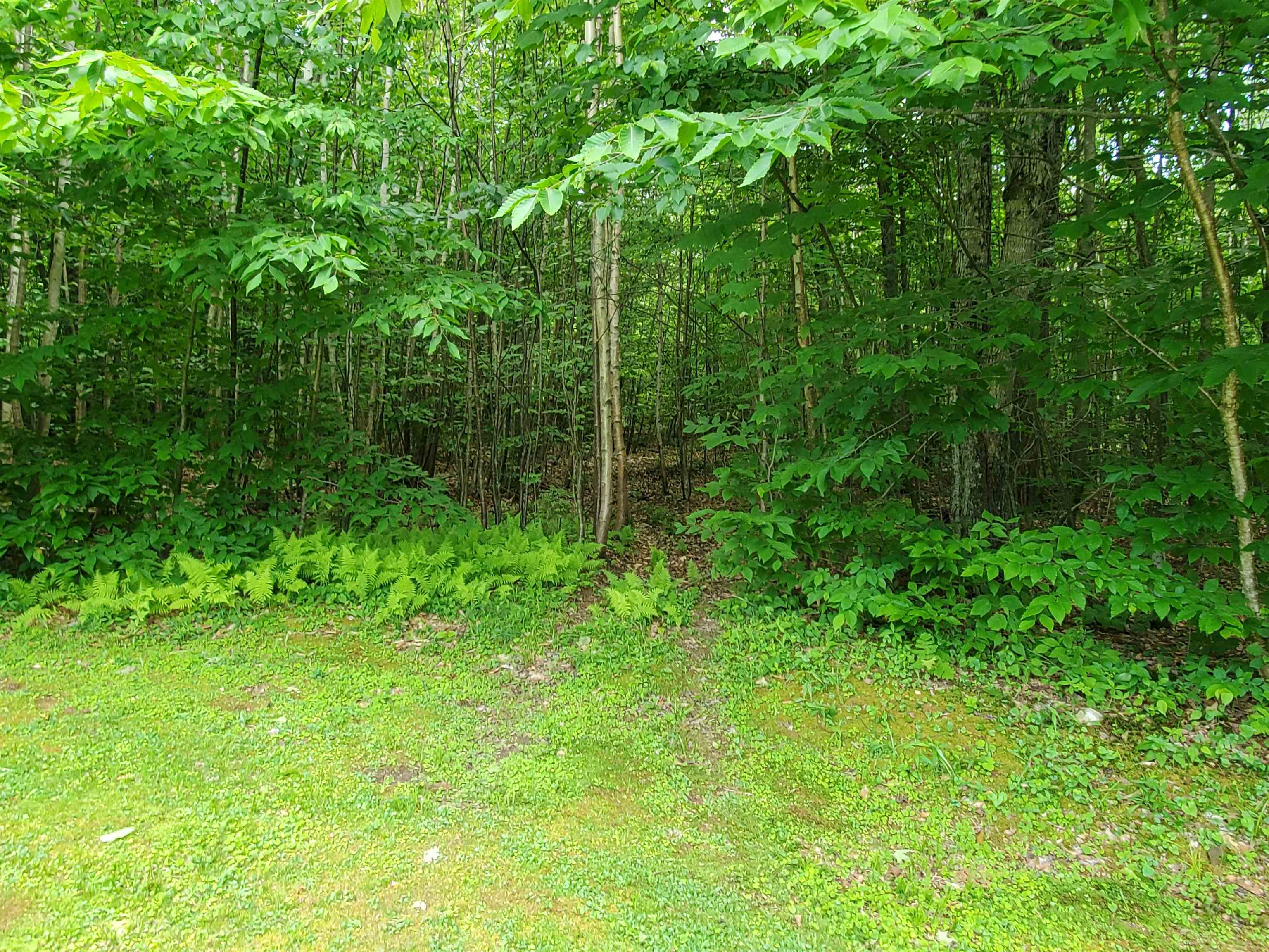 559 Fernwood Farms Road Canaan, NH 03741 - Photo 19 of 26