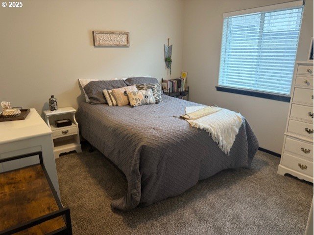 2796 High Desert Loop Umatilla, OR 97882 - Photo 10 of 19 a bed sitting in a bedroom next to a window