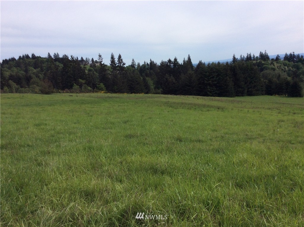 3 Large Road Kalama, WA 98625 - Photo 11 of 11 Gallery Image 11