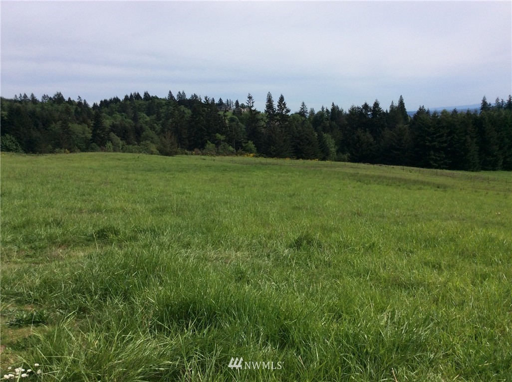 3 Large Road Kalama, WA 98625 - Photo 5 of 11 Gallery Image 5