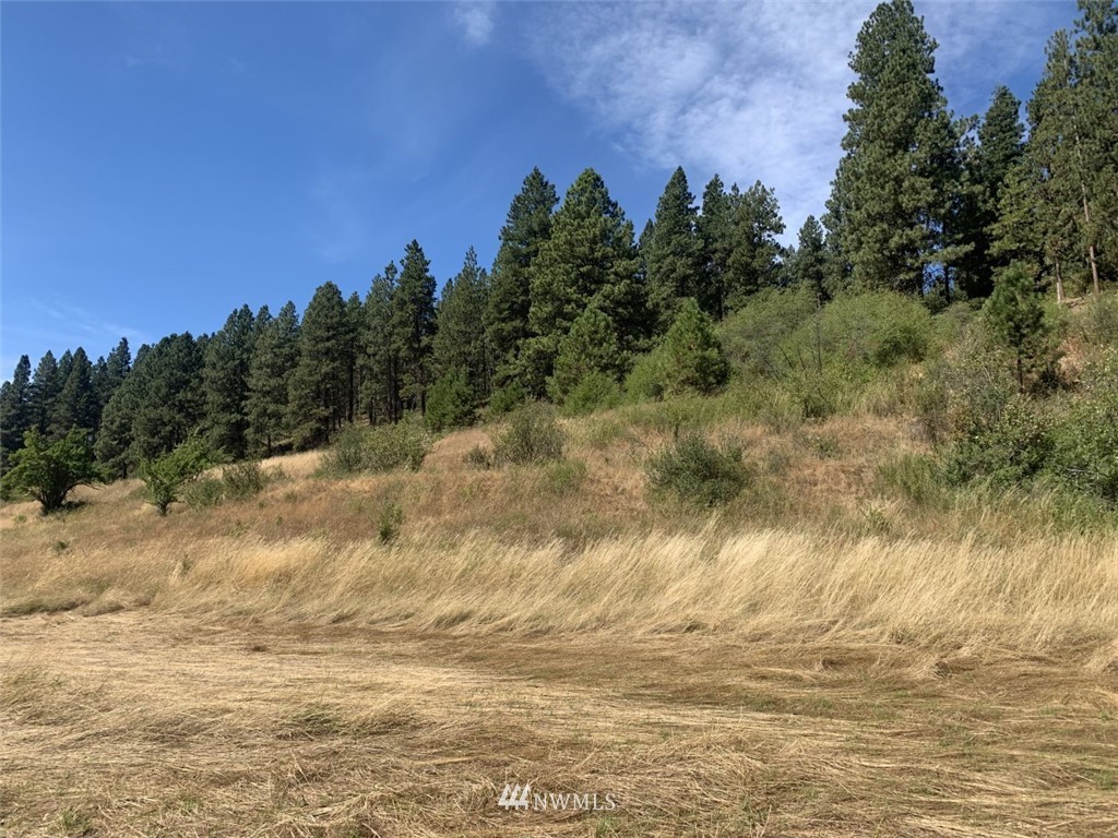 0 Lot 4-a Ranch Road Cle Elum, WA 98922 - Photo 1 of 7 Gallery Image 1