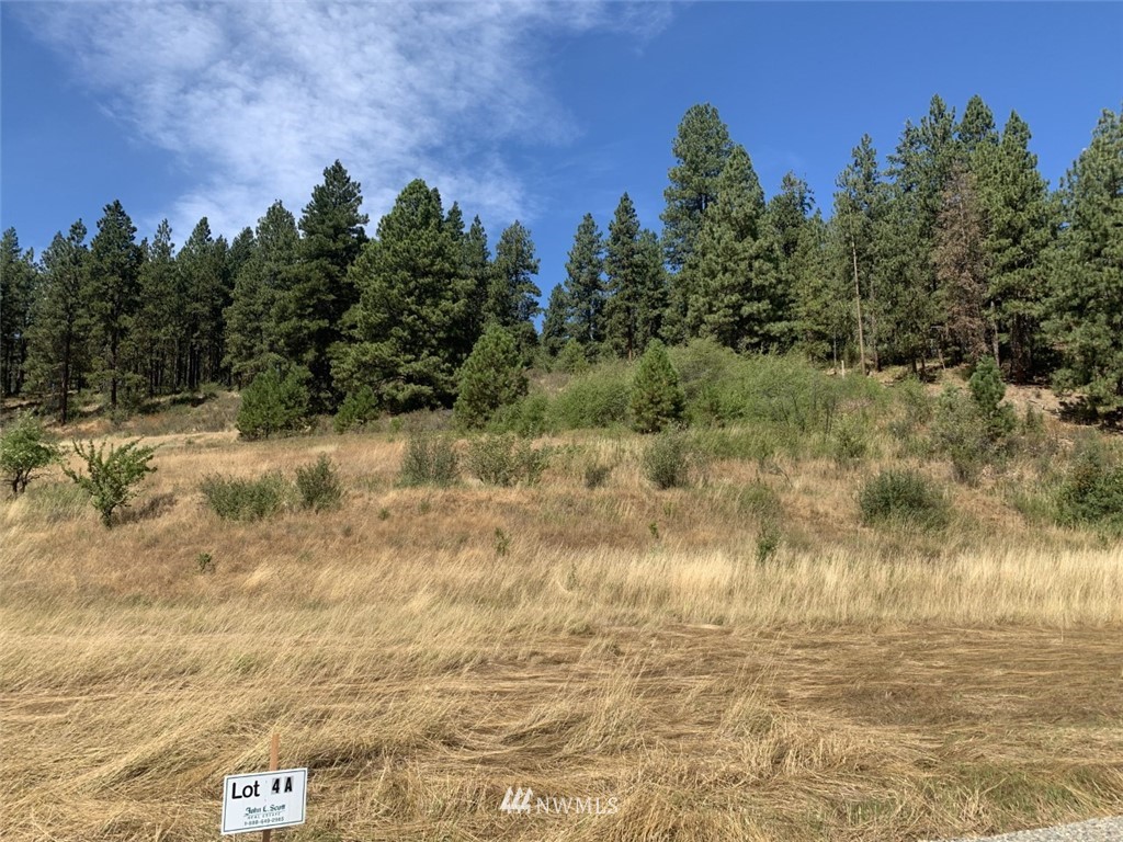 0 Lot 4-a Ranch Road Cle Elum, WA 98922 - Photo 2 of 7 Gallery Image 2