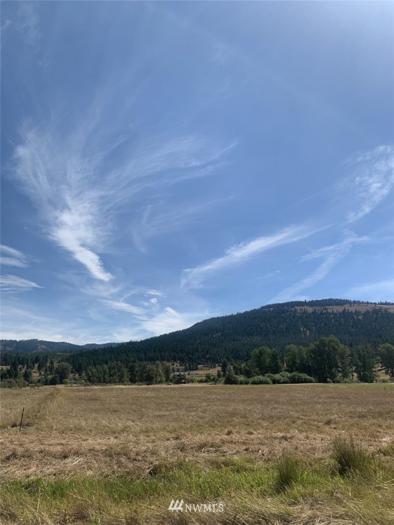 0 Lot 4-a Ranch Road Cle Elum, WA 98922 - Photo 4 of 7 Gallery Image 4