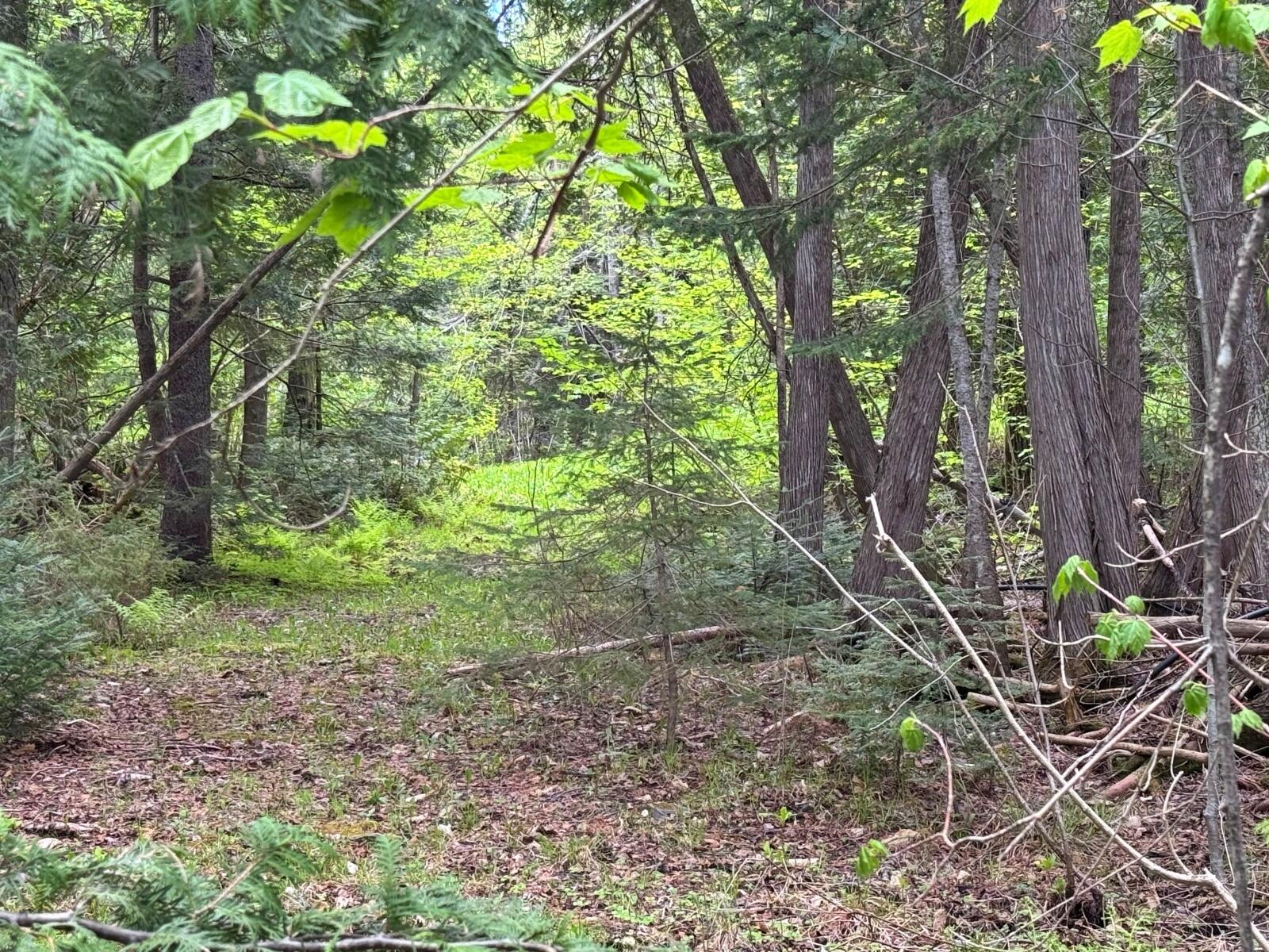 1873 Sly Brook Road Eagle Lake, ME 04739 - Photo 63 of 65 batch_IMG_2043
