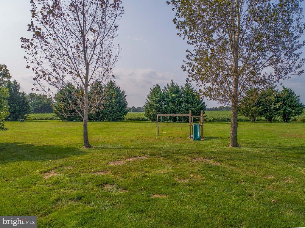 661 Stemmers Run Road Earleville, MD 21919 - Photo 35 of 42 Plenty of Space for Children & Pets to Run & Play