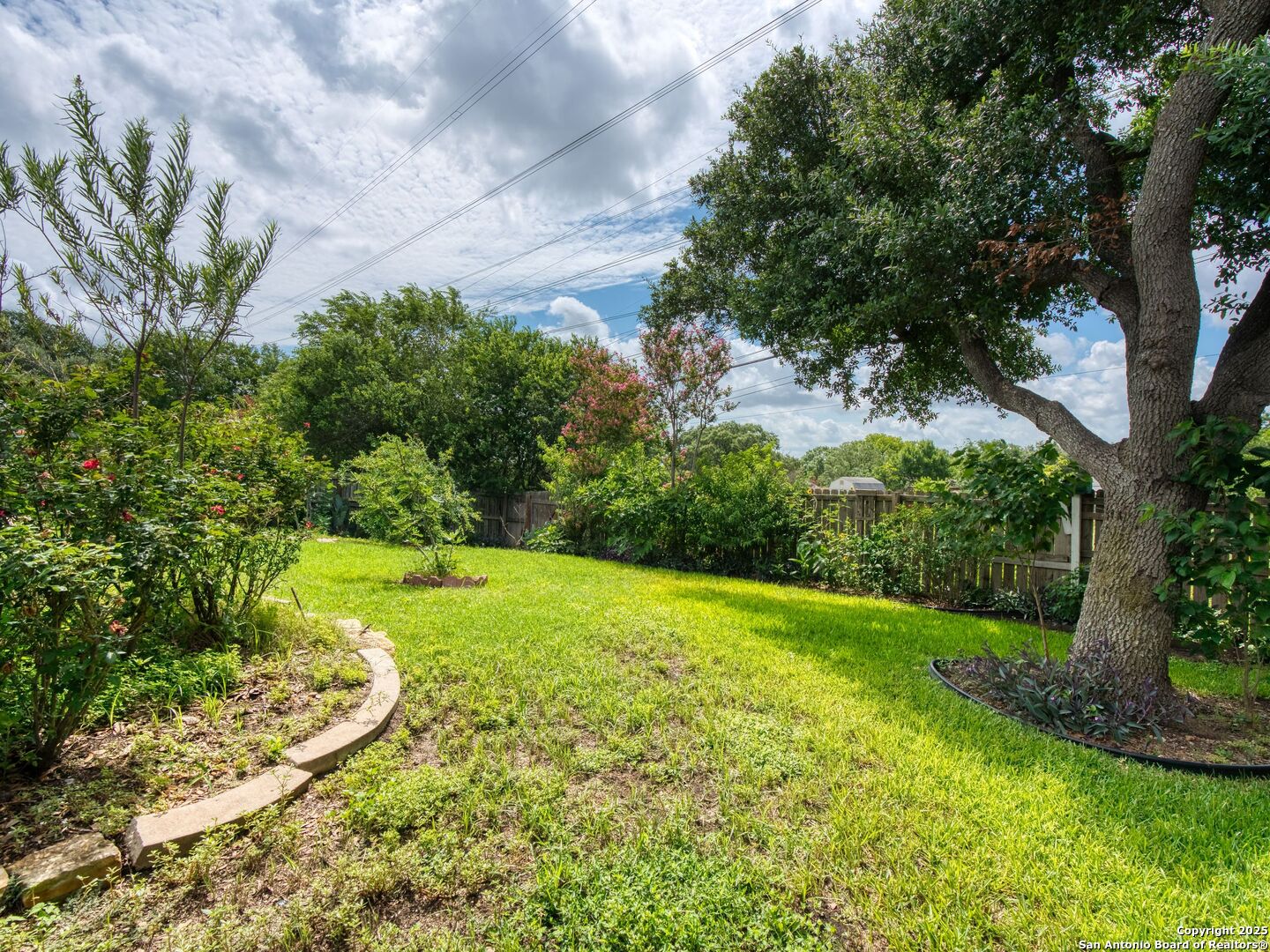 5430 Vista Court San Antonio, TX 78247 - Photo 36 of 37 a view of a backyard with plants and a large tree