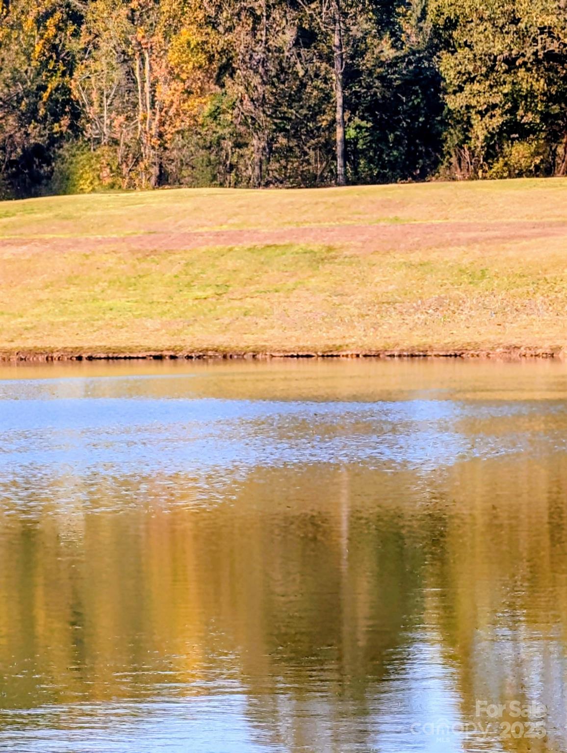 Lot 18 Mapleton Lane, Unit 18 Tryon, NC 28782 - Photo 11 of 30 a view of an ocean and beach