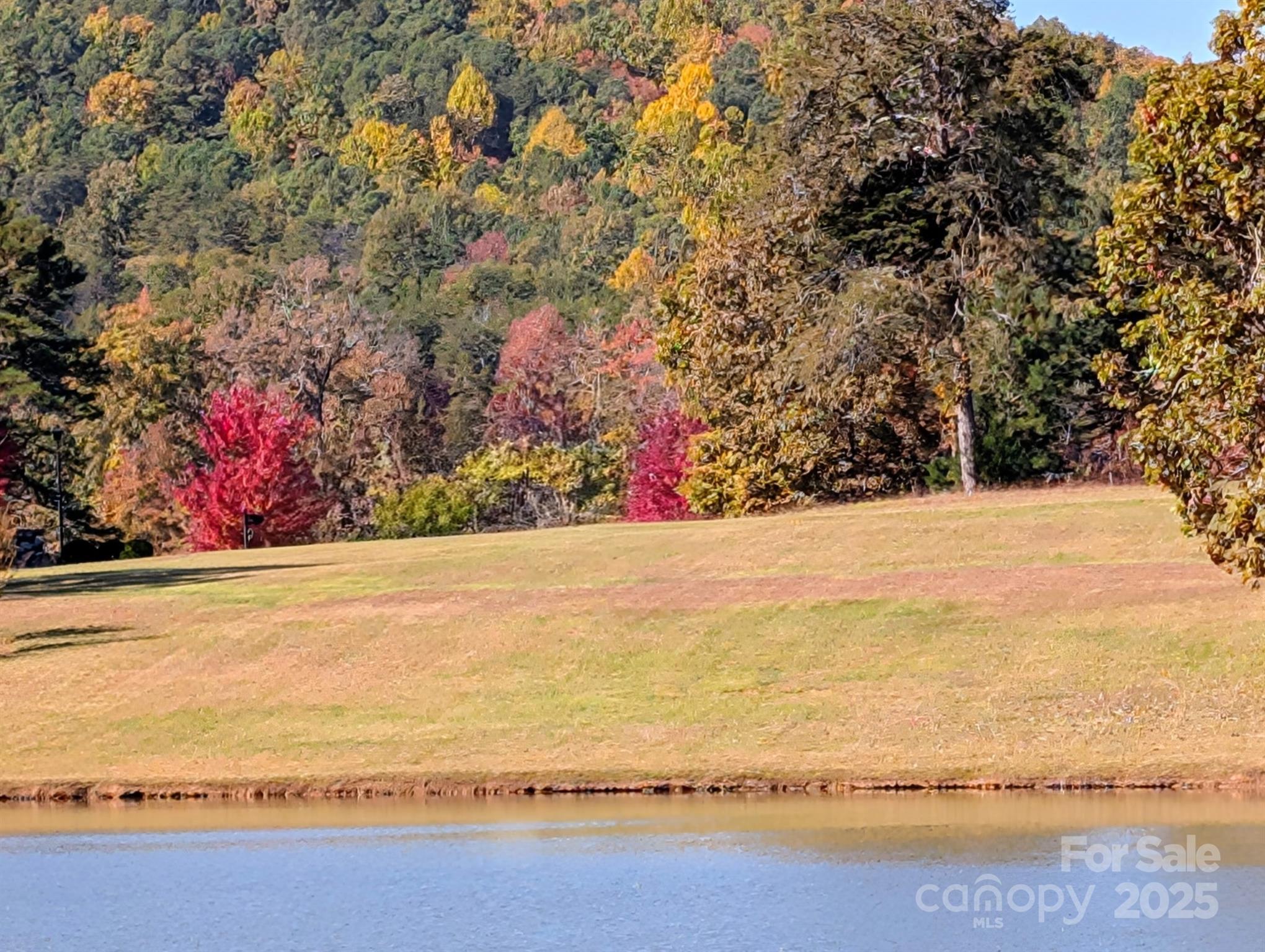 Lot 18 Mapleton Lane, Unit 18 Tryon, NC 28782 - Photo 3 of 30 a view of an outdoor space and a lake view