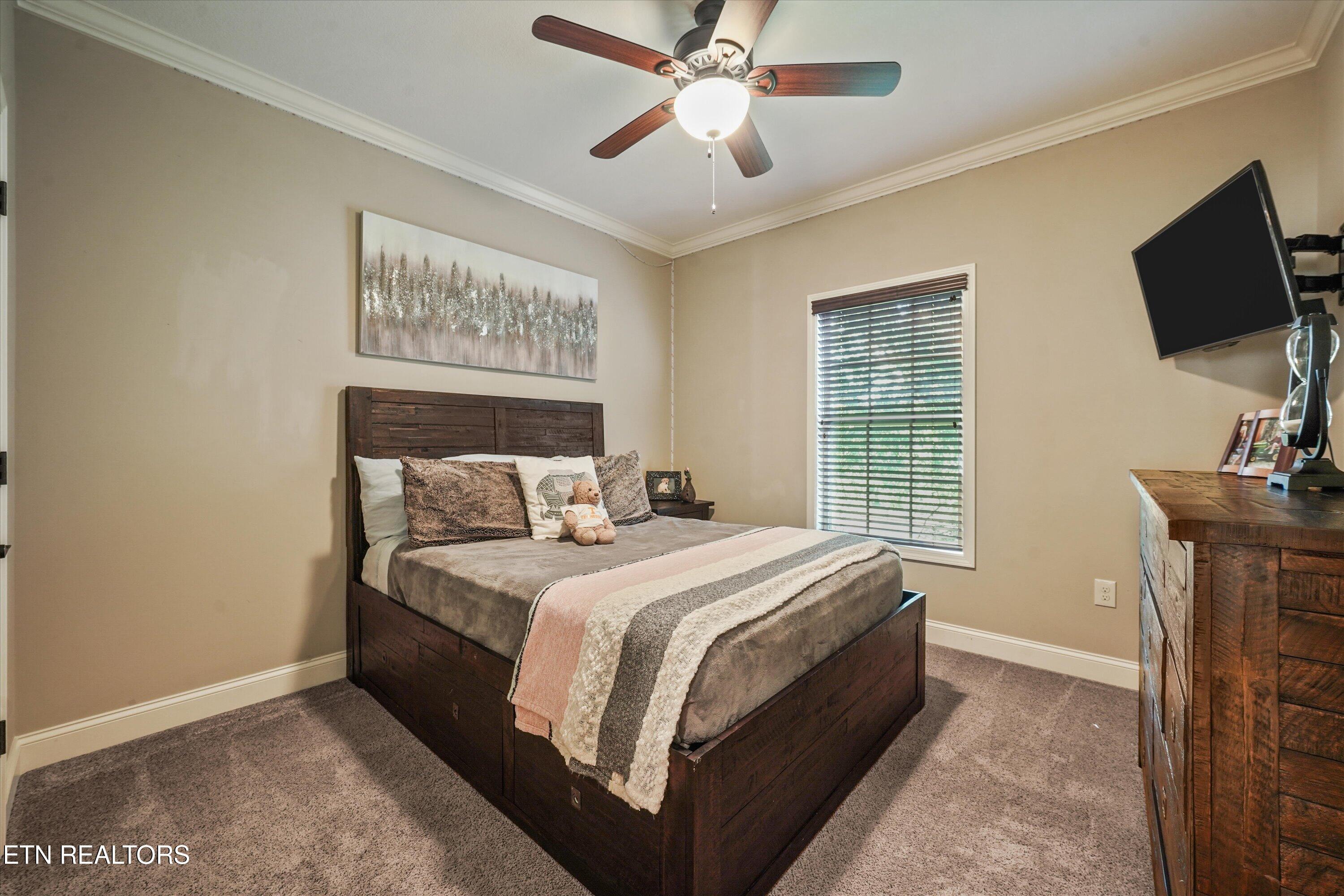 1341 Hillvale Road Louisville, TN 37777 - Photo 24 of 42 19-128 Hillvale Rd20