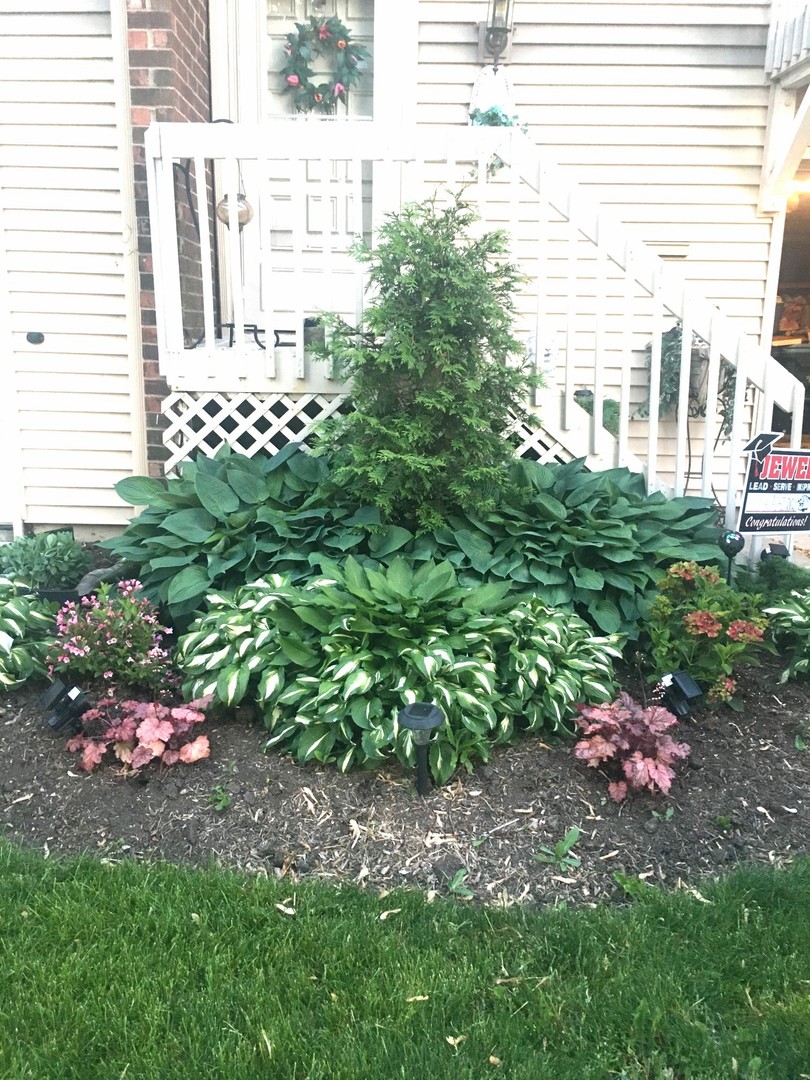 1463 Elder Drive Aurora, IL 60506 - Photo 3 of 32 a plant that is in front of a house