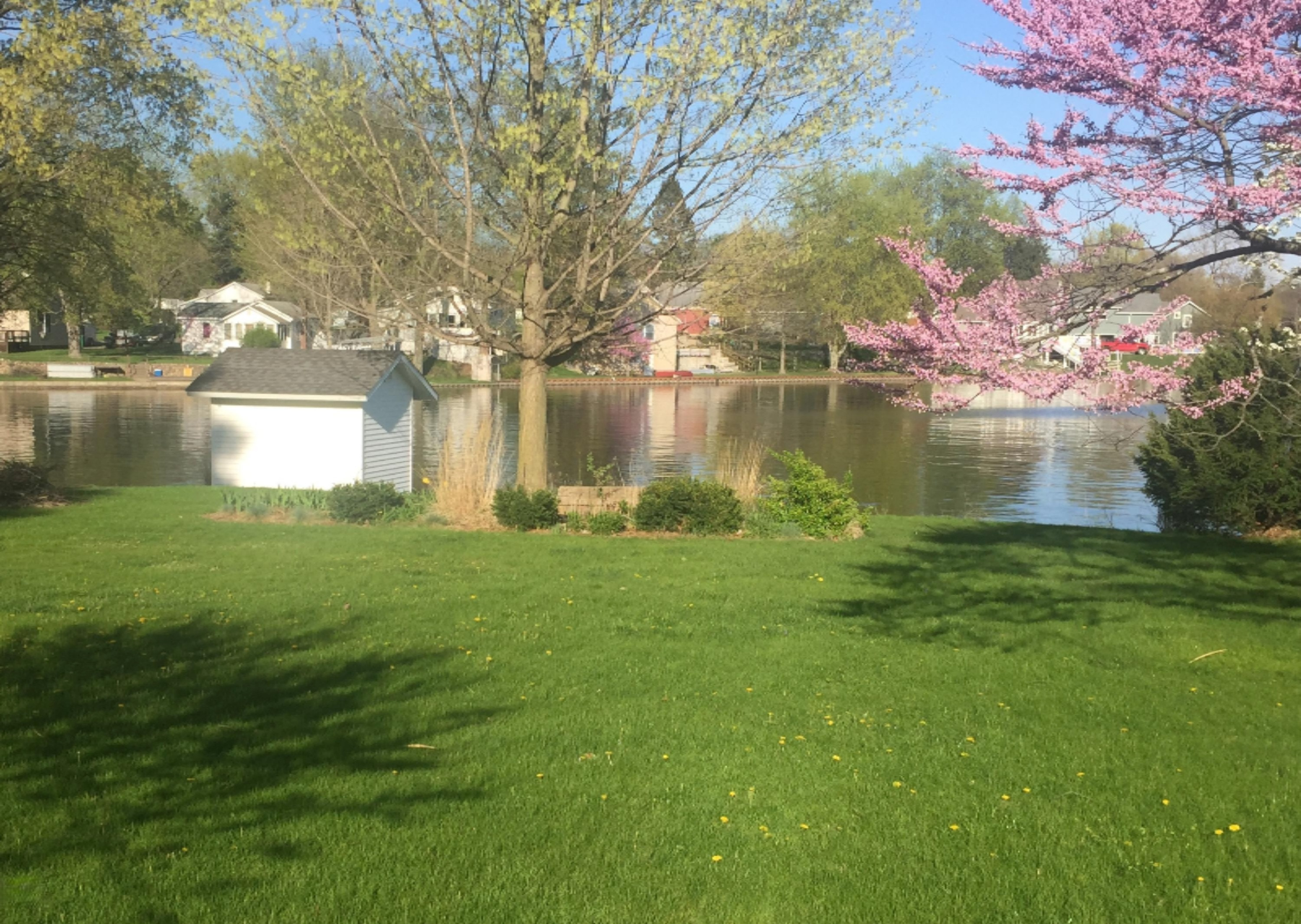 529 Maple Street Colon, MI 49040 - Photo 5 of 70 Lake View