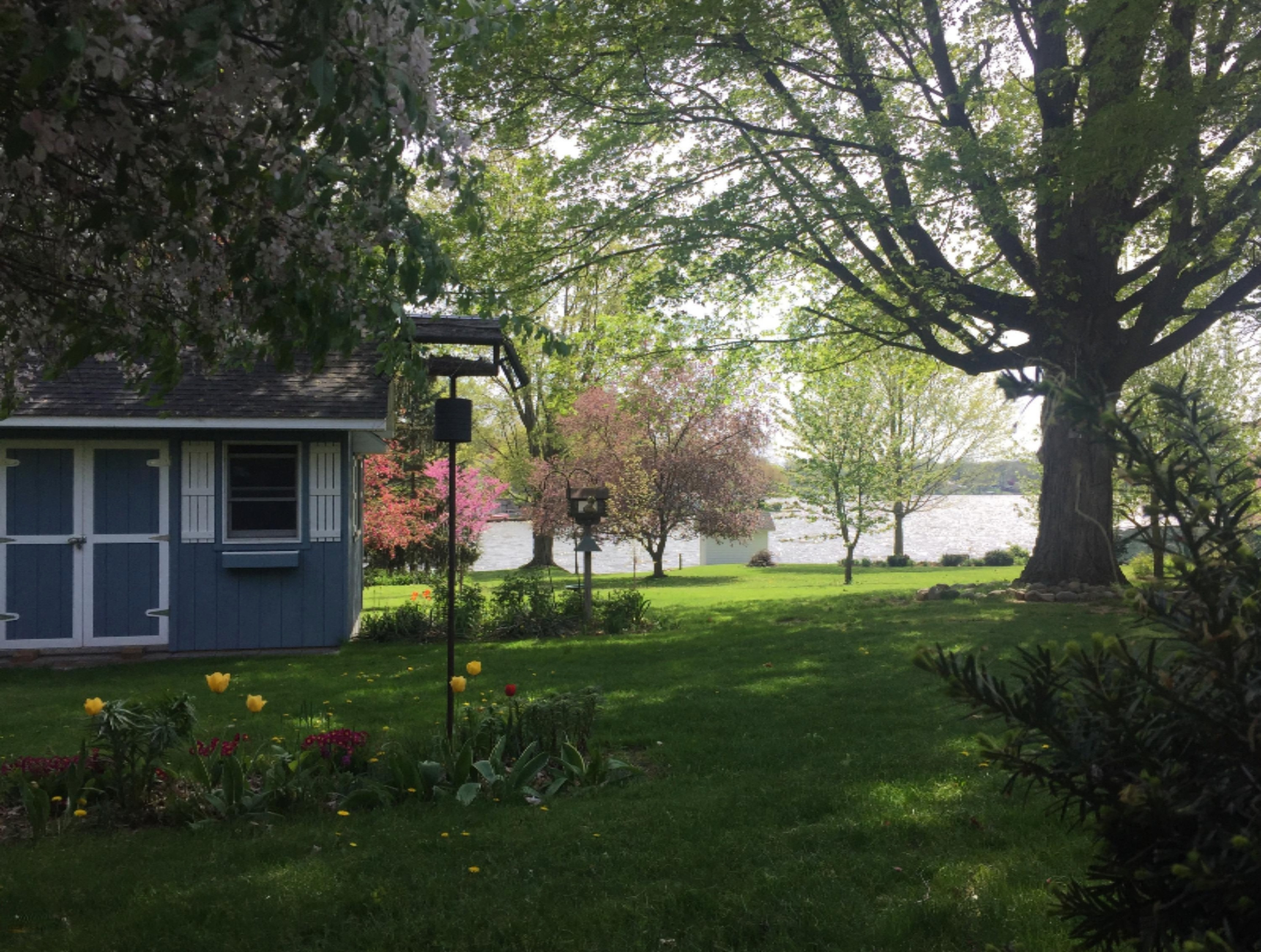 529 Maple Street Colon, MI 49040 - Photo 6 of 70 Lake View