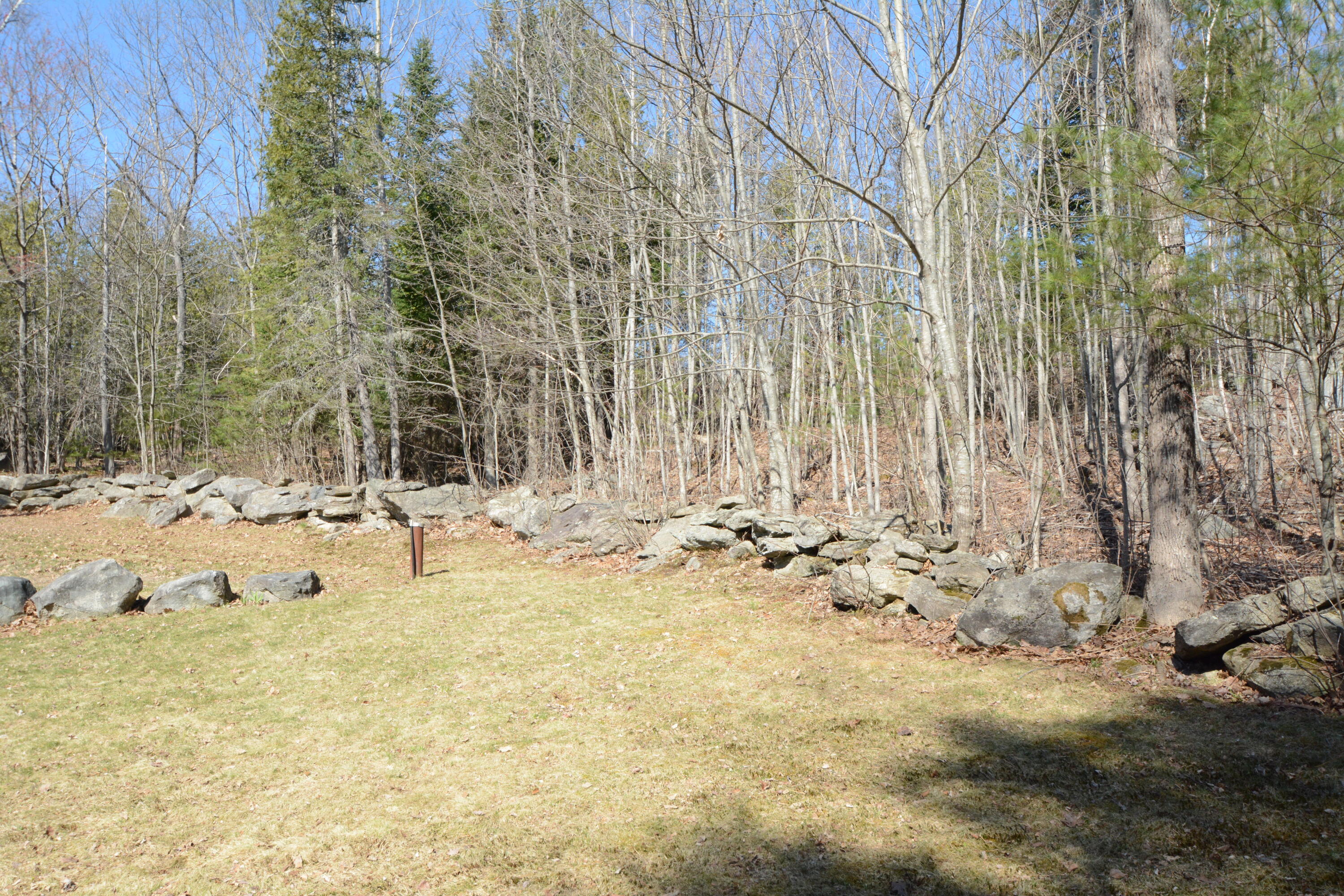 1723 River Road Bucksport, ME 04416 - Photo 39 of 41 Back yard