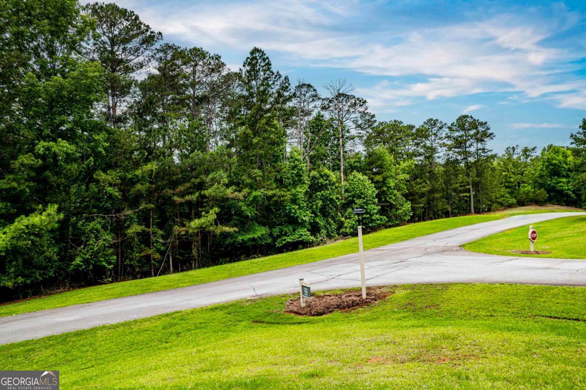 1041 Cedar Ridge Drive Greensboro, GA 30642 - Photo 11 of 17