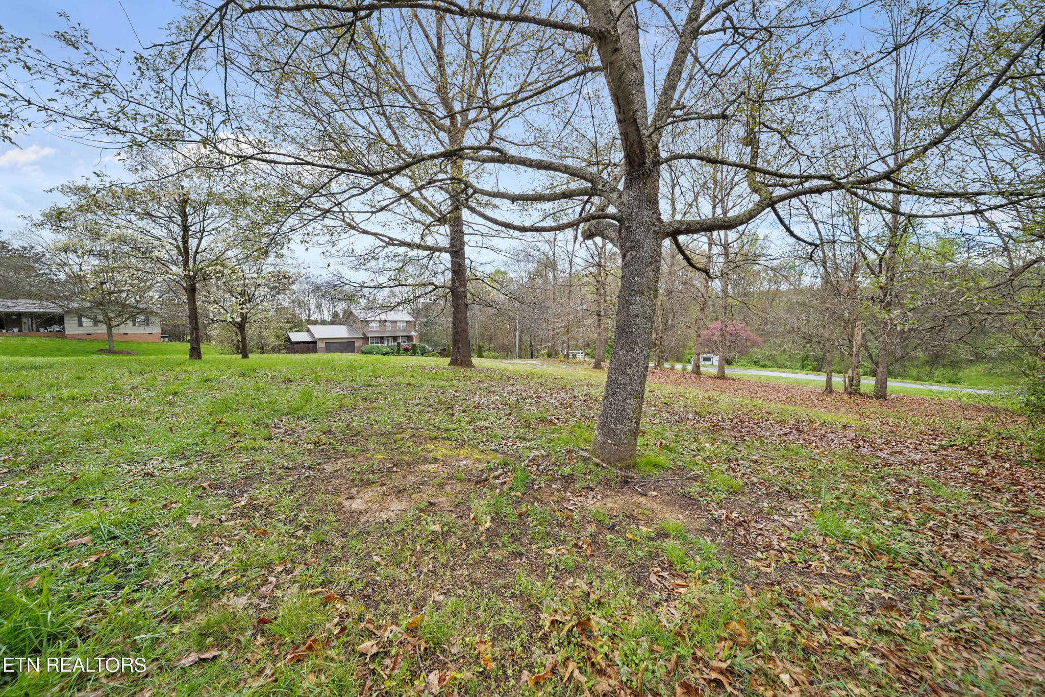 1355 Springview Circle Seymour, TN 37865 - Photo 26 of 30