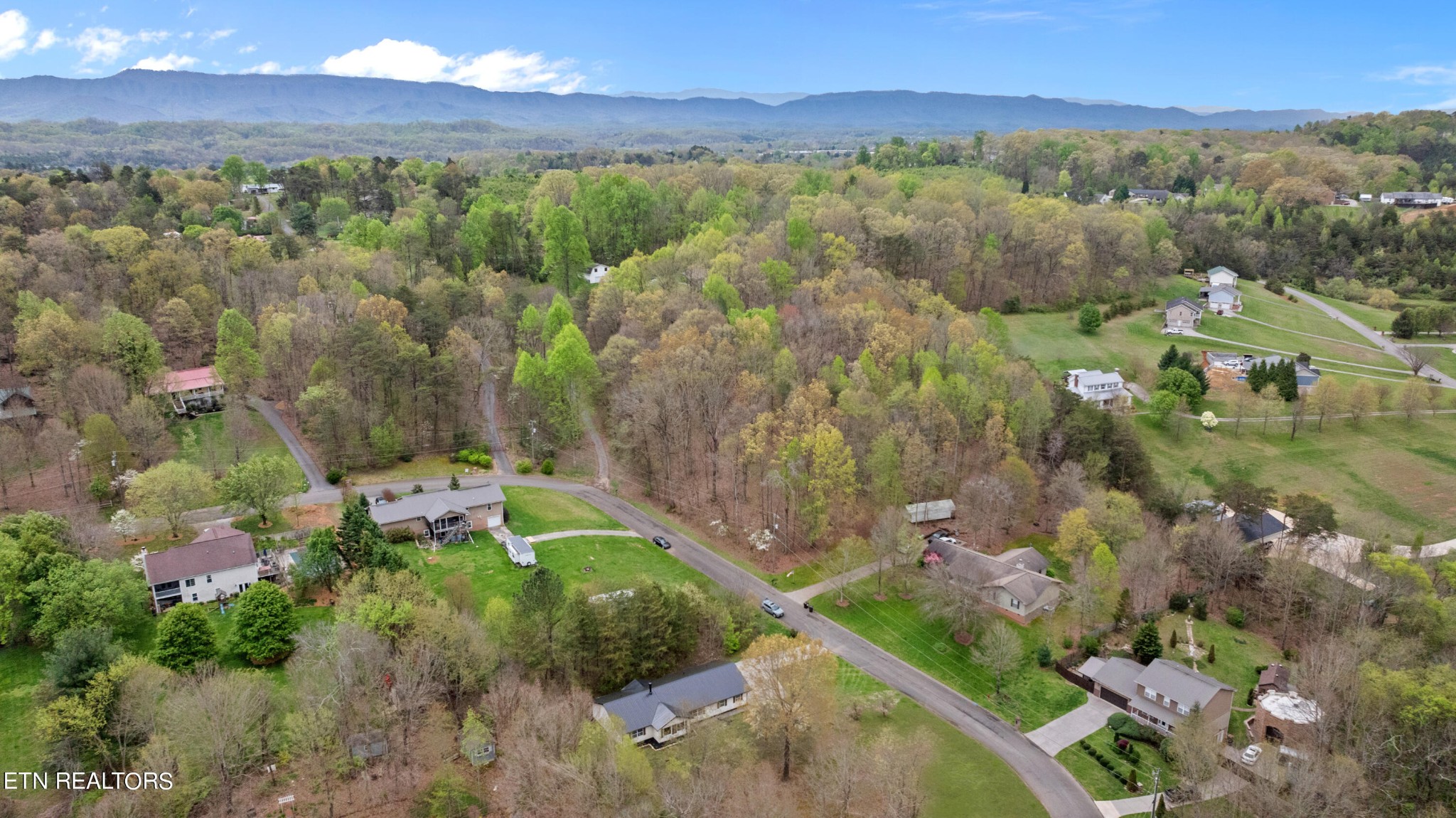 1355 Springview Circle Seymour, TN 37865 - Photo 8 of 30