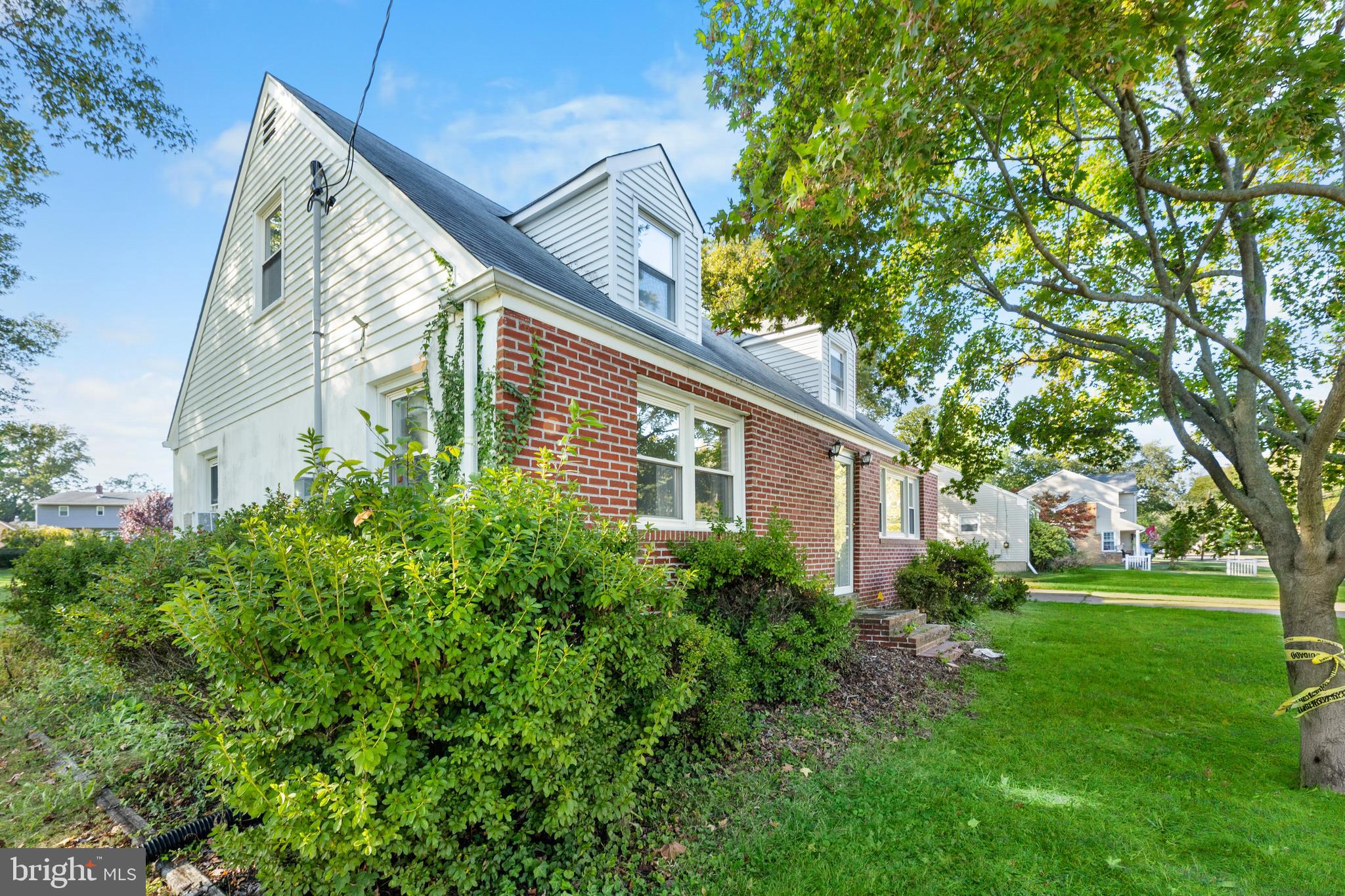 245 Paxson Avenue Hamilton, NJ 08690 - Photo 20 of 26 a view of backyard with potted plants and a large tree