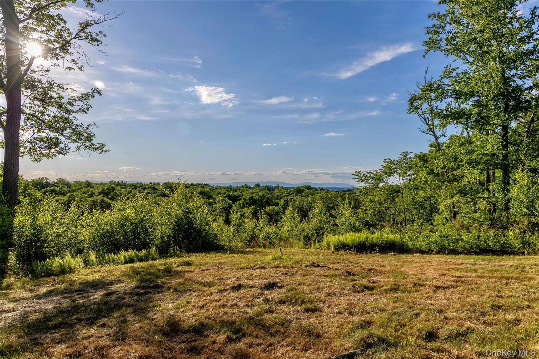 Mallory Road Verbank, NY 12585 - Photo 12 of 16