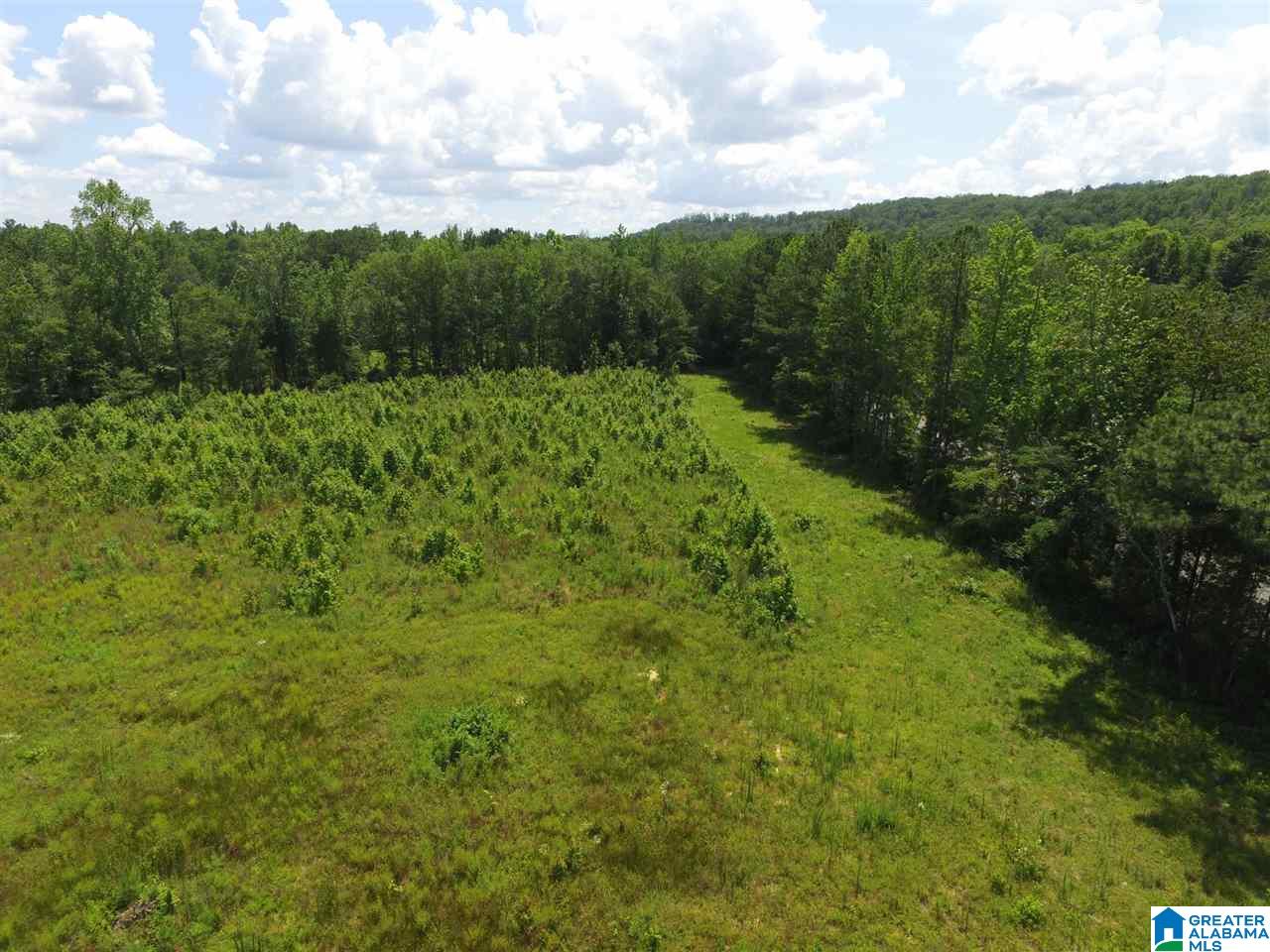 Slasham Road, Unit 10 Ashville, AL 35953 - Photo 7 of 9