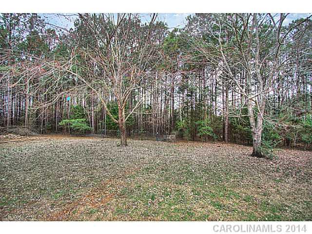 2132 Dunlap Roddey Road Rock Hill, SC 29730 - Photo 16 of 16 a view of a yard with plants and trees