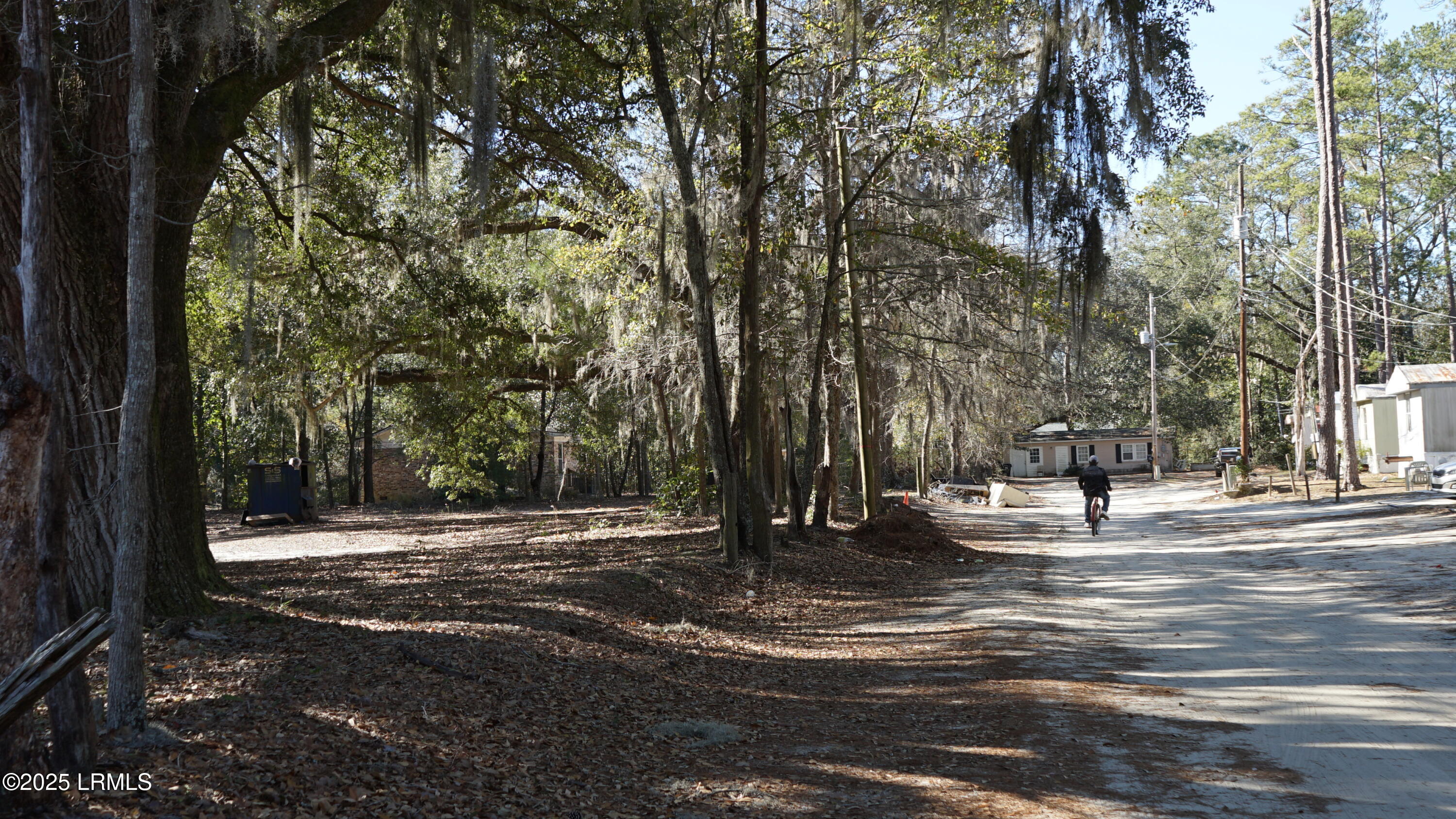 109 Crosby Street Walterboro, SC 29488 - Photo 7 of 10 DSC07654