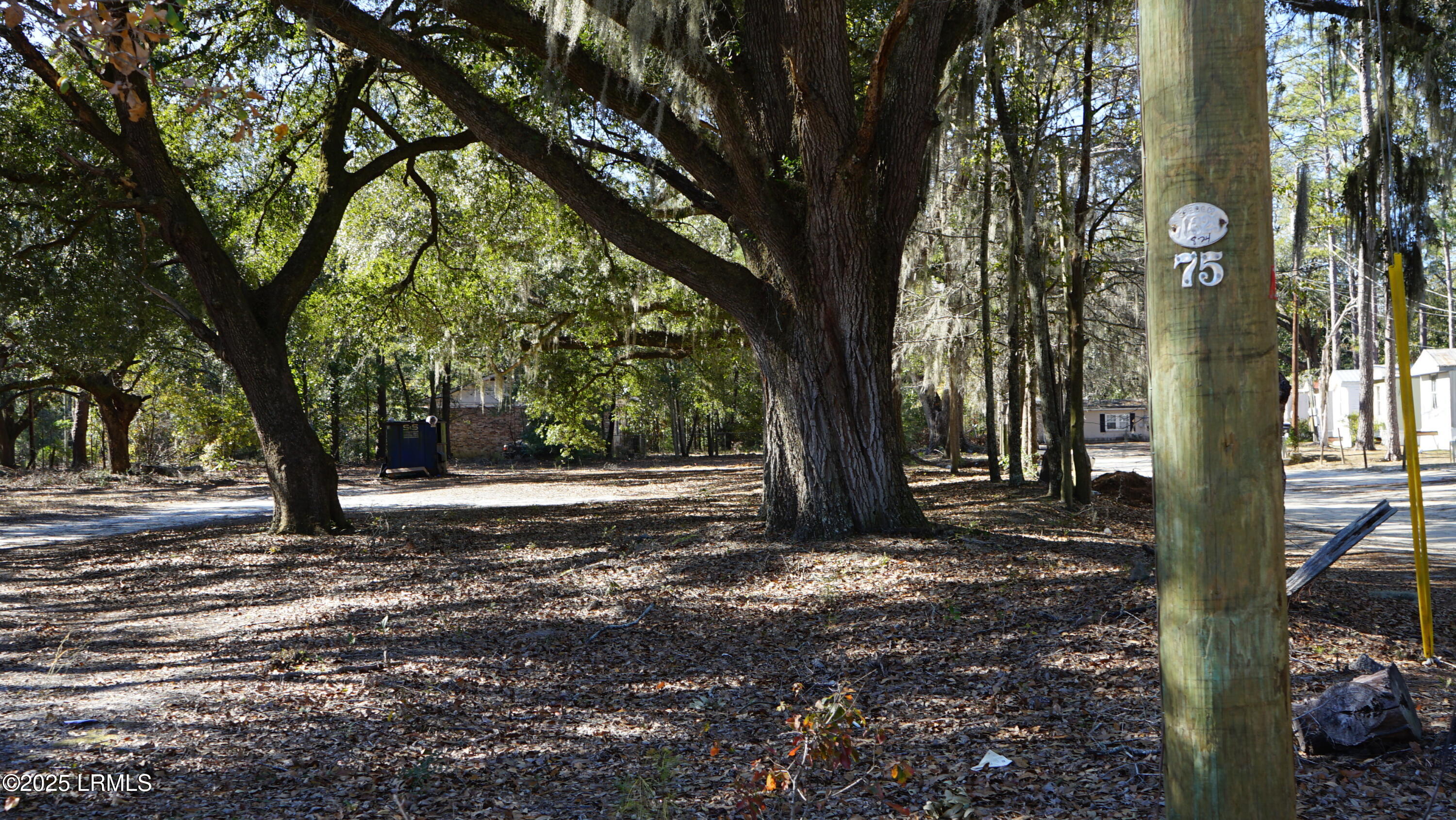 109 Crosby Street Walterboro, SC 29488 - Photo 10 of 10 DSC07652