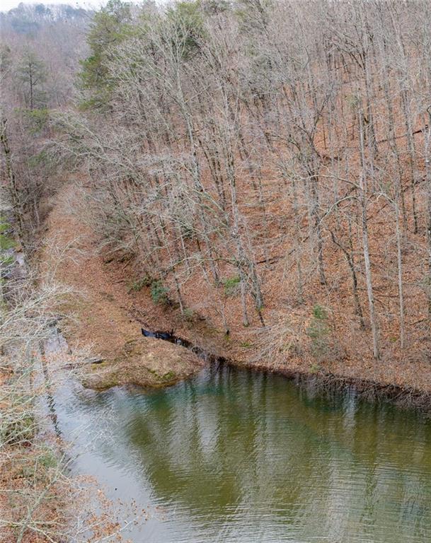 161 Headwaters Court Cleveland, GA 30528 - Photo 4 of 7 a view of lake with mountain