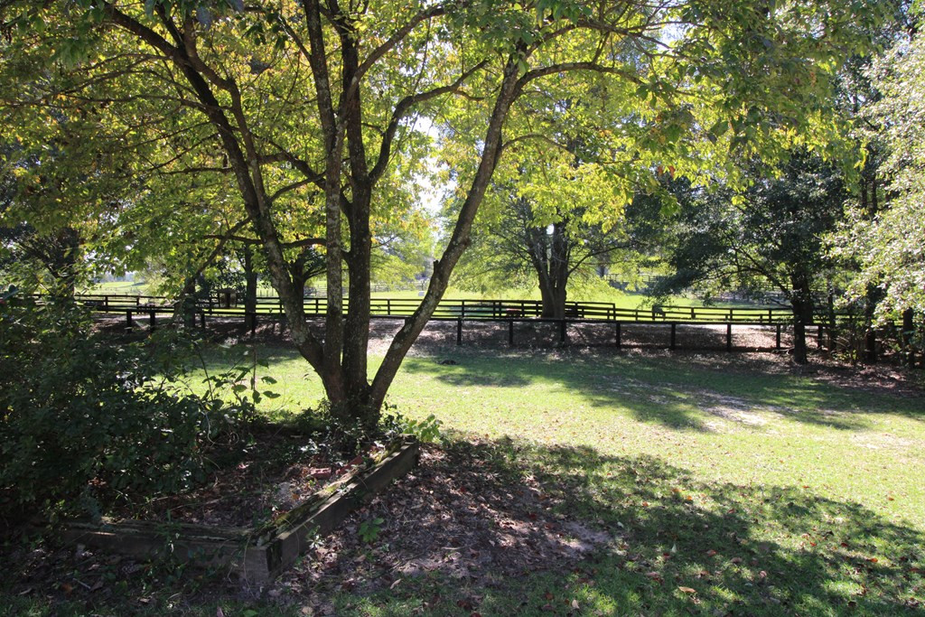 3032 Banks Mill Road Southeast Aiken, SC 29803 - Photo 14 of 15