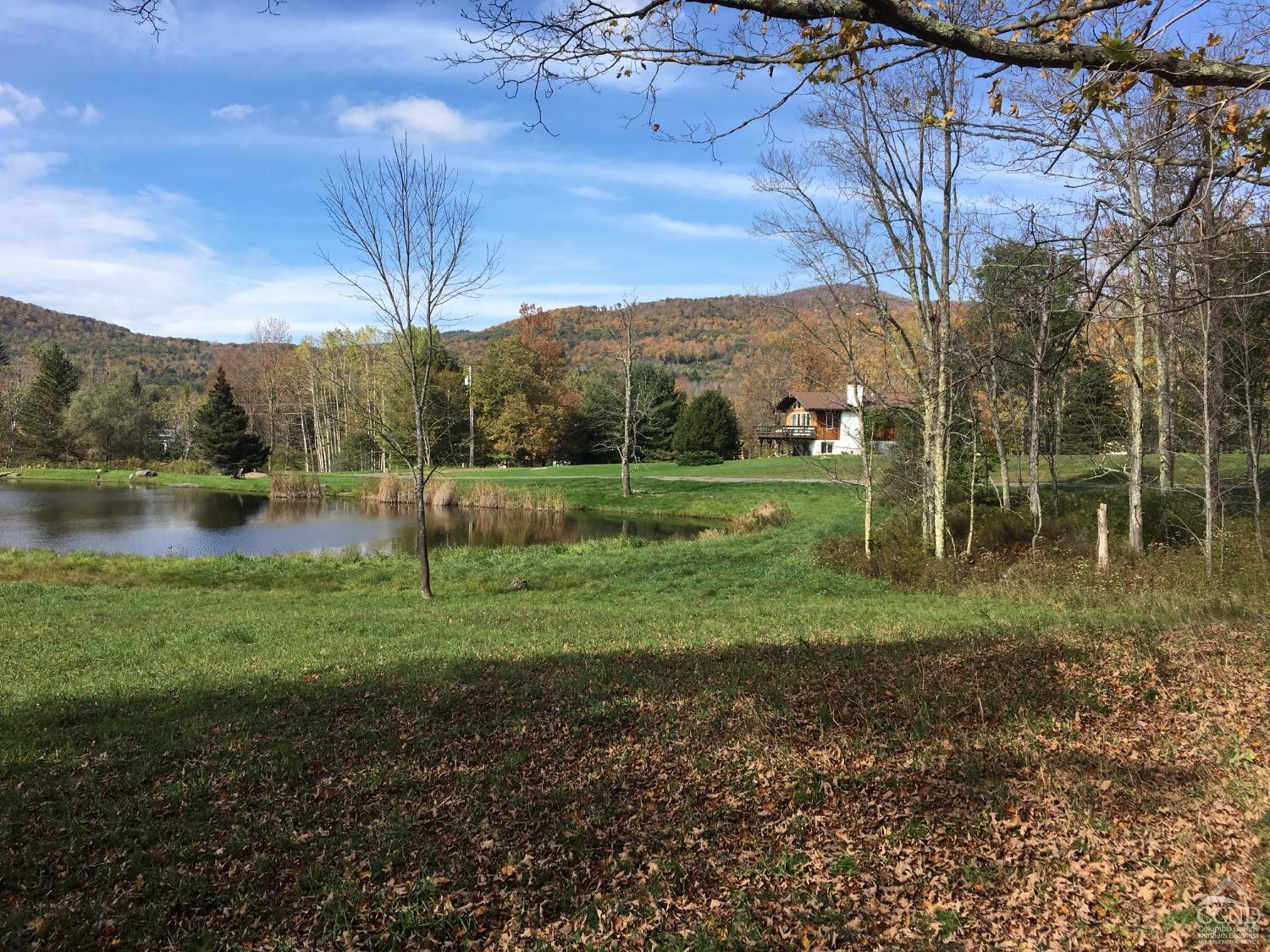 13 Boulder Brook Road Windham, NY 12496 - Photo 3 of 44 Photo 3