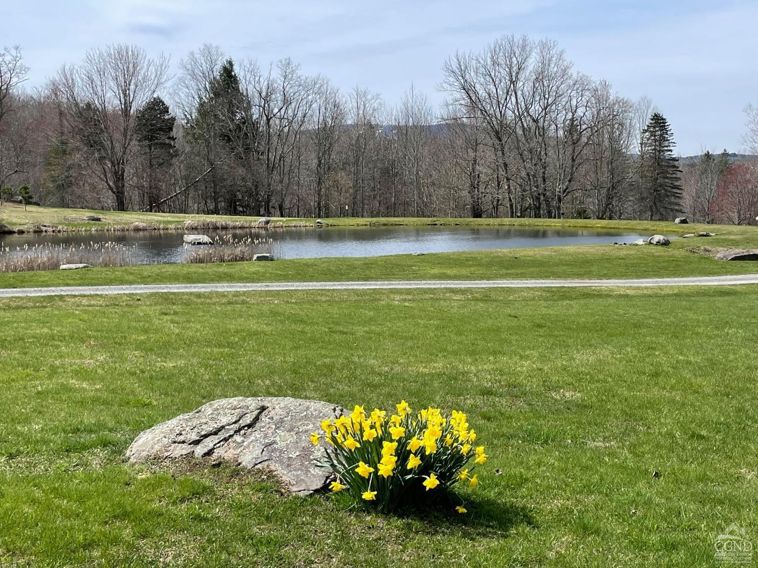 13 Boulder Brook Road Windham, NY 12496 - Photo 6 of 44 Photo 6