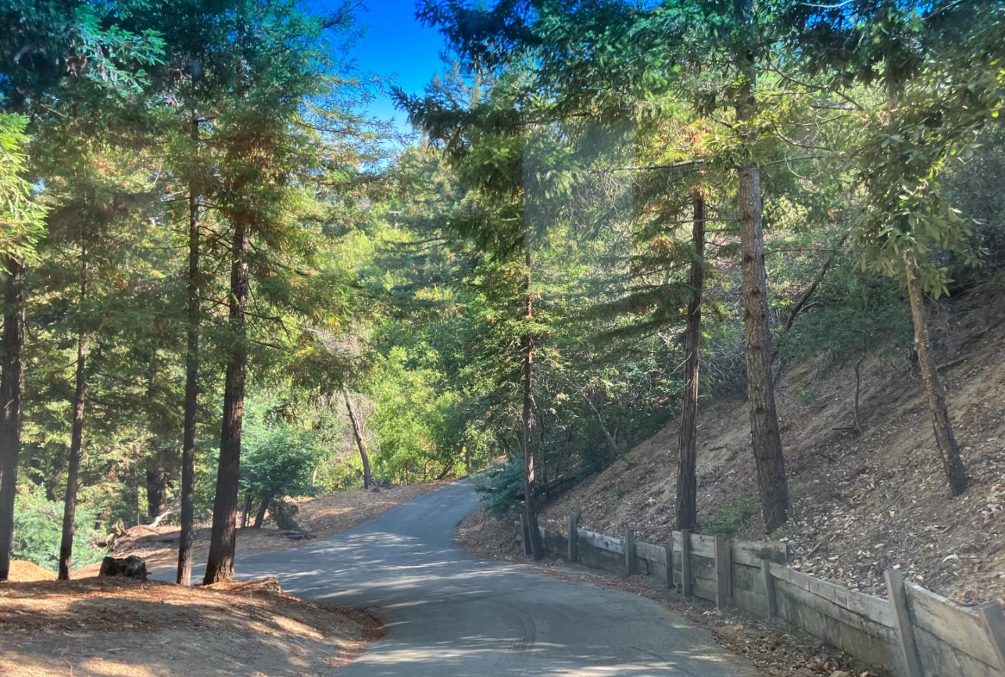 a view of a road with trees