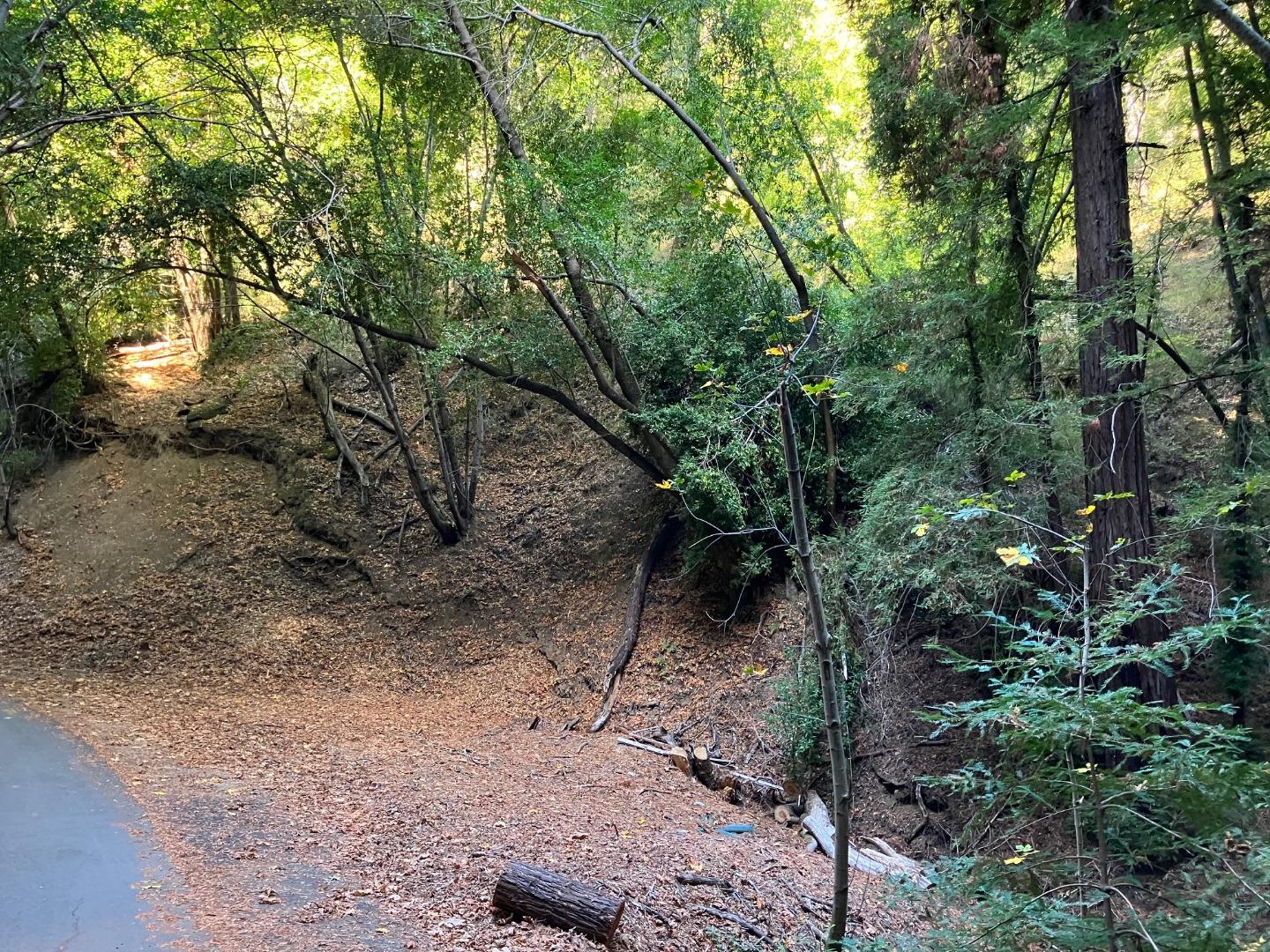 0 Old Logging Road Los Gatos, CA 95033 - Photo 11 of 14 a backyard of a house with lots of green space