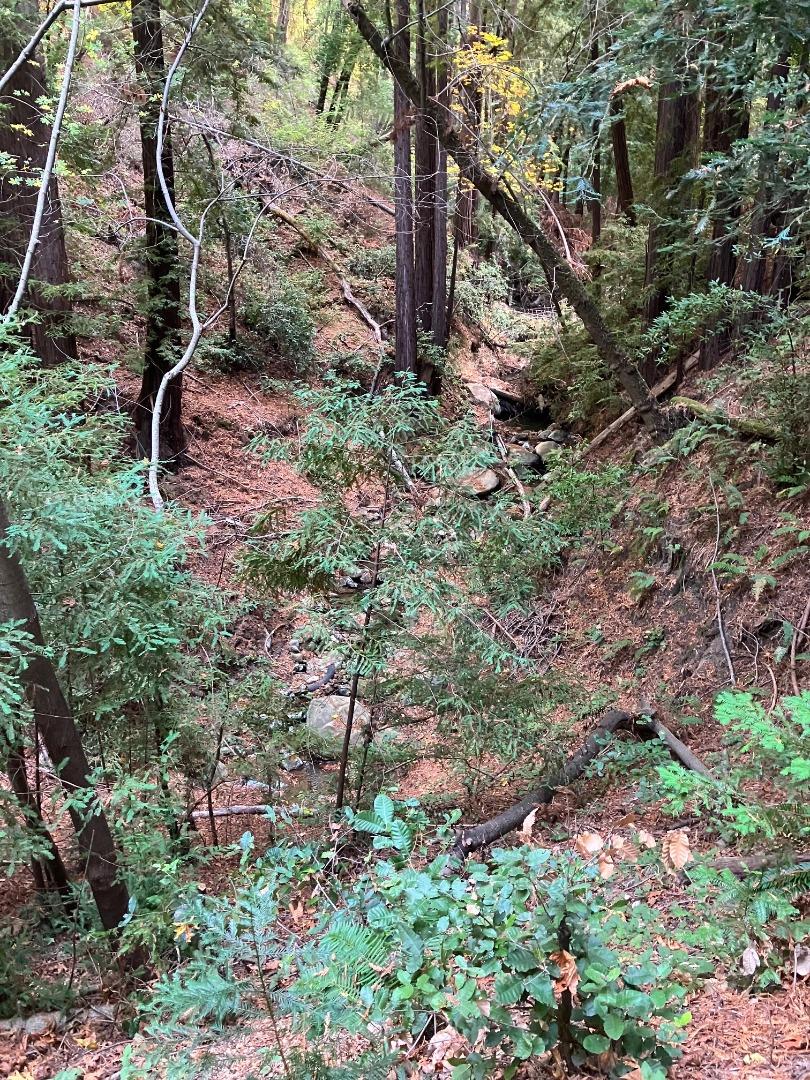 0 Old Logging Road Los Gatos, CA 95033 - Photo 12 of 14 a backyard of a house with lots of green space