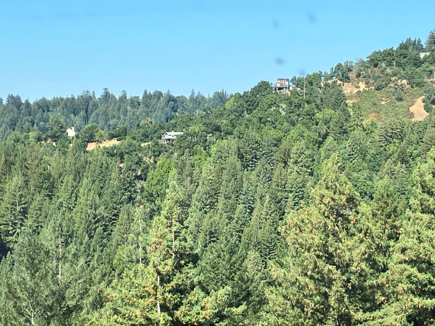 0 Old Logging Road Los Gatos, CA 95033 - Photo 2 of 14 a view of a large yard with lots of bushes