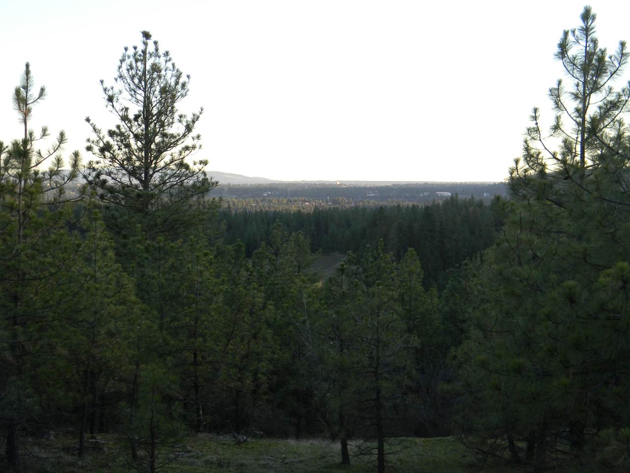 1306 West Austin Road, Unit LOT 2 Spokane, WA 99208 - Photo 3 of 6